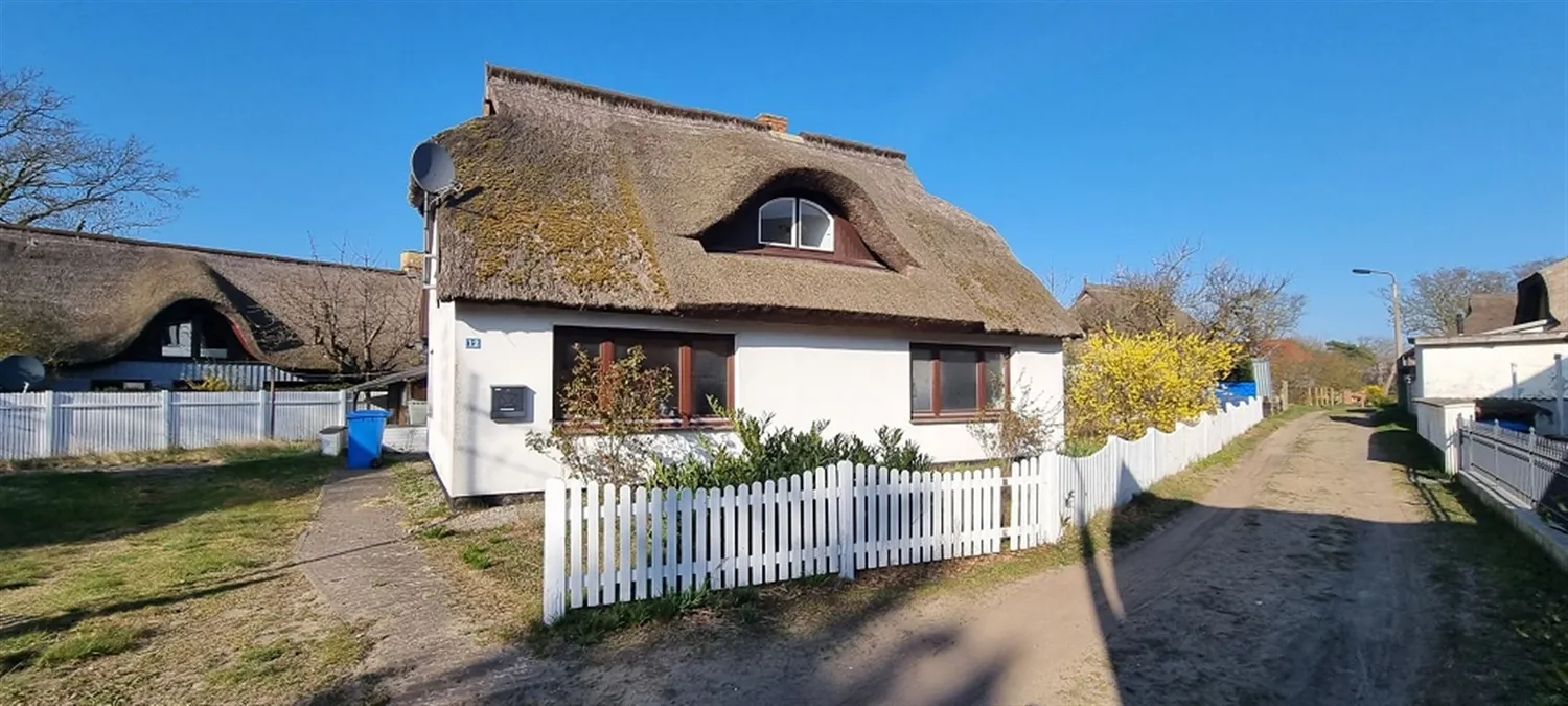 Born auf dem Darß - Reetdachhaus und Ferienhaus in ruhiger verträumter Ortslage, Vorpommern Rügen Kreis – Bild 4