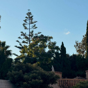 Immobilien zum Verkauf in Palmera