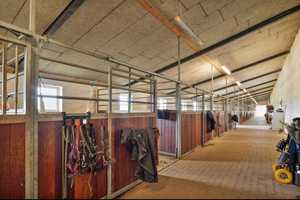 Traumhafte Reitanlage in Dänemark – Ein Paradies für Pferdeliebhaber! – Schleswig-Flensburg (Kreis) – Vorschaubild 10