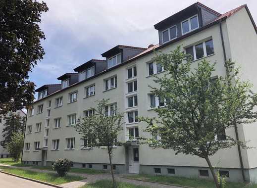 Partnersuche harz kreis