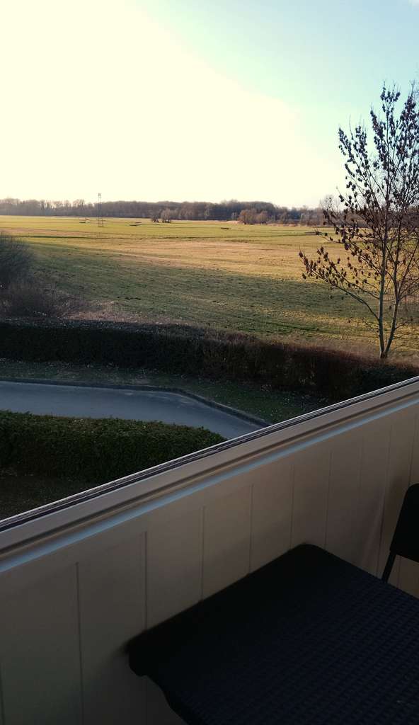 Immobilie in Grimmen - 3-Zimmer Wohnung mit Balkon und Stellplatz in Grimmen - Bild 1