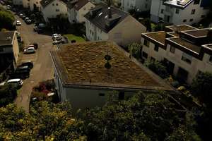 Property thumbnail 18