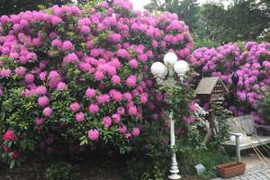 Property thumbnail 22