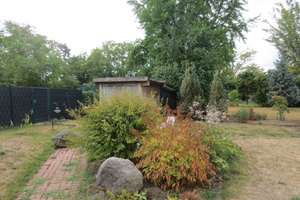 Viel Platz im Garten  in Oggersheim: Saniertes Reihenmittelhaus mit großem Gartenund Terrasse – 67071 Oggersheim, Ludwigshafen am Rhein – Vorschaubild 11