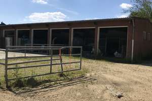 Geräumiges, günstiges 10-Raum-Haus mit gehobener Innenausstattung in Schwalmtal – Die vollständige Adresse der Immobilie erhältst du vom Anbieter., 41366 Schwalmtal – Vorschaubild 12
