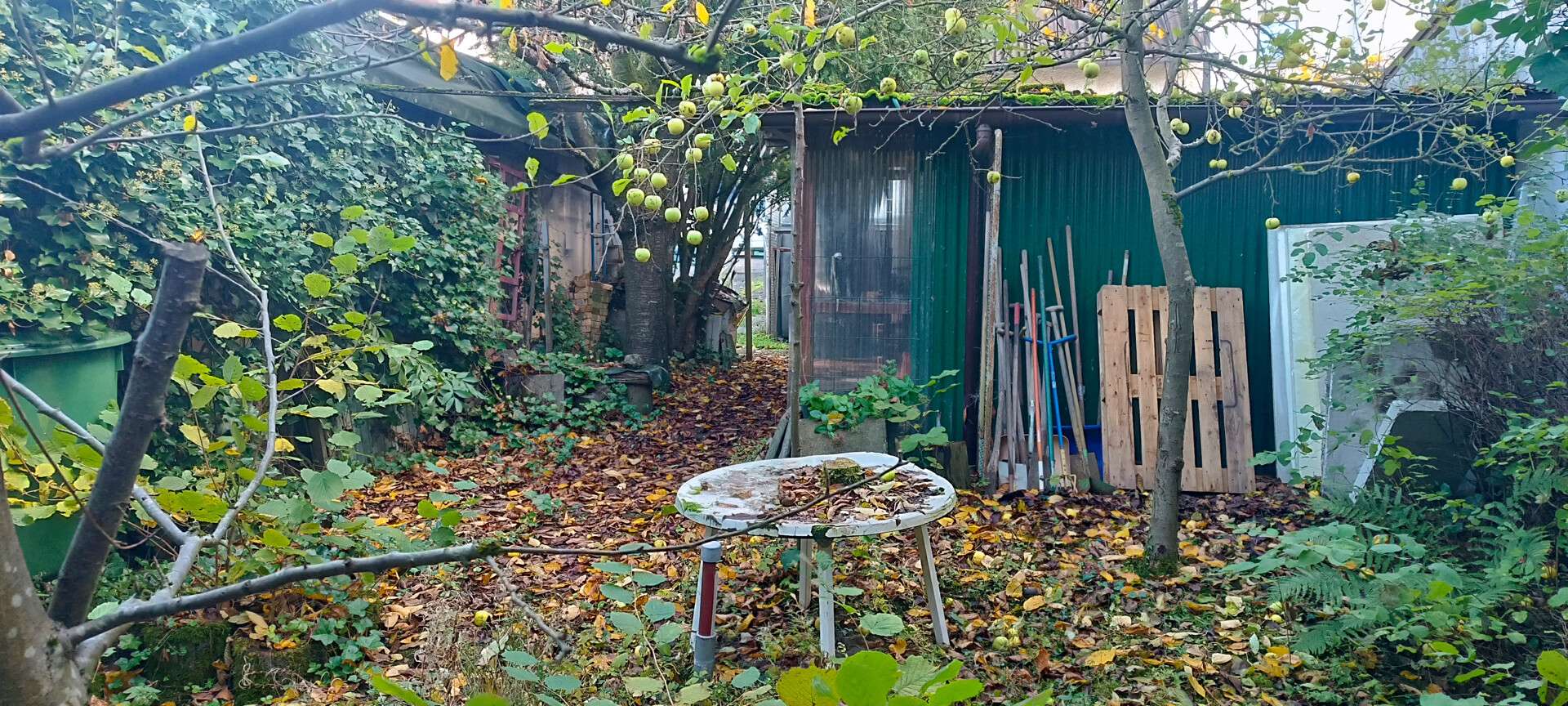 Charmantes Wohnhaus in Ransbach-Baumbach – ideal für eine liebevolle Neugestaltung, Westerwaldkreis – Bild 3