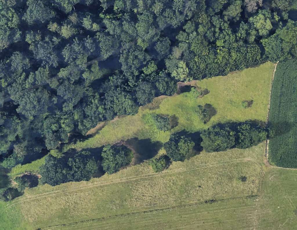 Immobilie in Birkenau - Einzigartiges Haus mit 13 Zimmern und 6700 m² Grundstück in Birkenau - Bild 4