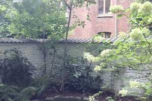 Pempelfort Altbauwohnung Sehr schöne 2 Zi. off. Wohküche weiße Einbauküche Diele Bad Terrasse/Garten – Düsseldorf – Vorschaubild 1