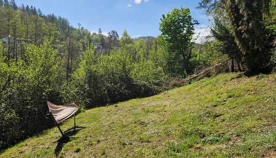 Bild von ++++EINFAMILIENHAUSHAUS MIT GROSSEM GARTEN UND SEPARATEM APARTMENT++++