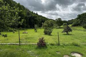 Naturidylle in Alleinlage, 4,7 ha – 55481 Kirchberg im Wald – Vorschaubild 24