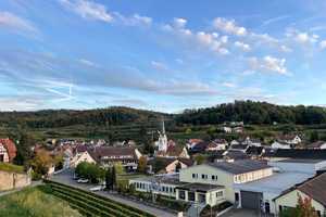 Schön Wohnen im Kaiserstuhl - Neubau KfW 40 Niedrigenergie - Einzugsfertig – Brünnelestr. 14, 79235 Breisgau-Hochschwarzwald (Kreis) – Vorschaubild 40