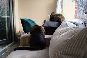 Property thumbnail 9