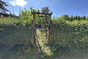 Wochenendhaus in ruhiger Lage direkt am See in Mennewitz – Die vollständige Adresse der Immobilie erhältst du vom Anbieter., 6385 Aken (Elbe) – Vorschaubild 10