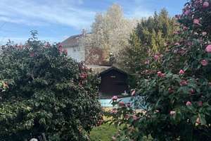 Traumhaftes Eigenheim! Freistehendes 5-Zimmer Einfamilienhaus mit Pool – Die vollständige Adresse der Immobilie erhältst du vom Anbieter., 40880 Tiefenbroich, Ratingen – Vorschaubild 4