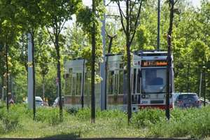 Studenten aufgepasst! Dein eigenes WG-Zimmer in Halle – Aralienstraße 5, 6122 Nördliche Neustadt, Halle (Saale) – Vorschaubild 7