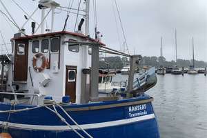 Lichtdurchflutete 3-Zimmer-Wohnung in Strandnähe  – Die vollständige Adresse der Immobilie erhältst du vom Anbieter., 23570 Travemünde, Lübeck – Vorschaubild 27