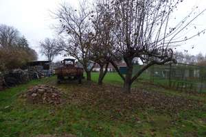 Carinerland / Garvensdorf. – Am Hellbach 4, 18233 Kirch Mulsow – Vorschaubild 12