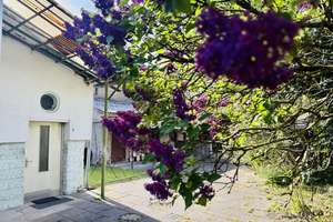 Immobilie im Mischgebiet an der B1 -  Gewerbe- und Privathaus - Erweiterungspotential - Vogelsdorf! – Die vollständige Adresse der Immobilie erhältst du vom Anbieter., 15370 Fredersdorf-Vogelsdorf – Vorschaubild 3