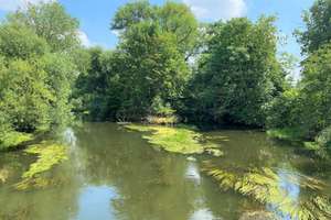 Nah am Auensee | Balkon | TG-Stellplatz | Fußbodenheizung – 4159 Wahren, Leipzig – Vorschaubild 9