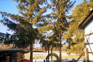 Leben wie im Urlaub- Einzigartiges  Haus am Voßkanal – Oberhavel (Kreis) – Vorschaubild 10