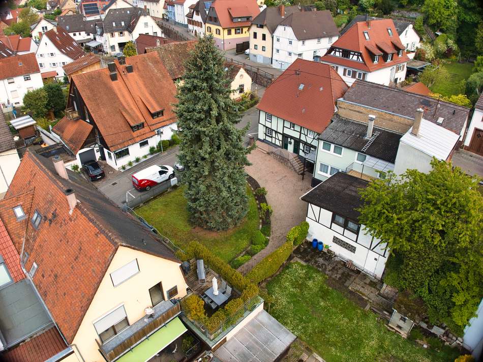 estateImage4450597688610211557