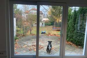 Frisch renoviertes Haus mit 4 Zimmern und 100 m² Wohnfläche – Dahlemer Weg 231a, 14167 Lichterfelde, Berlin – Vorschaubild 9