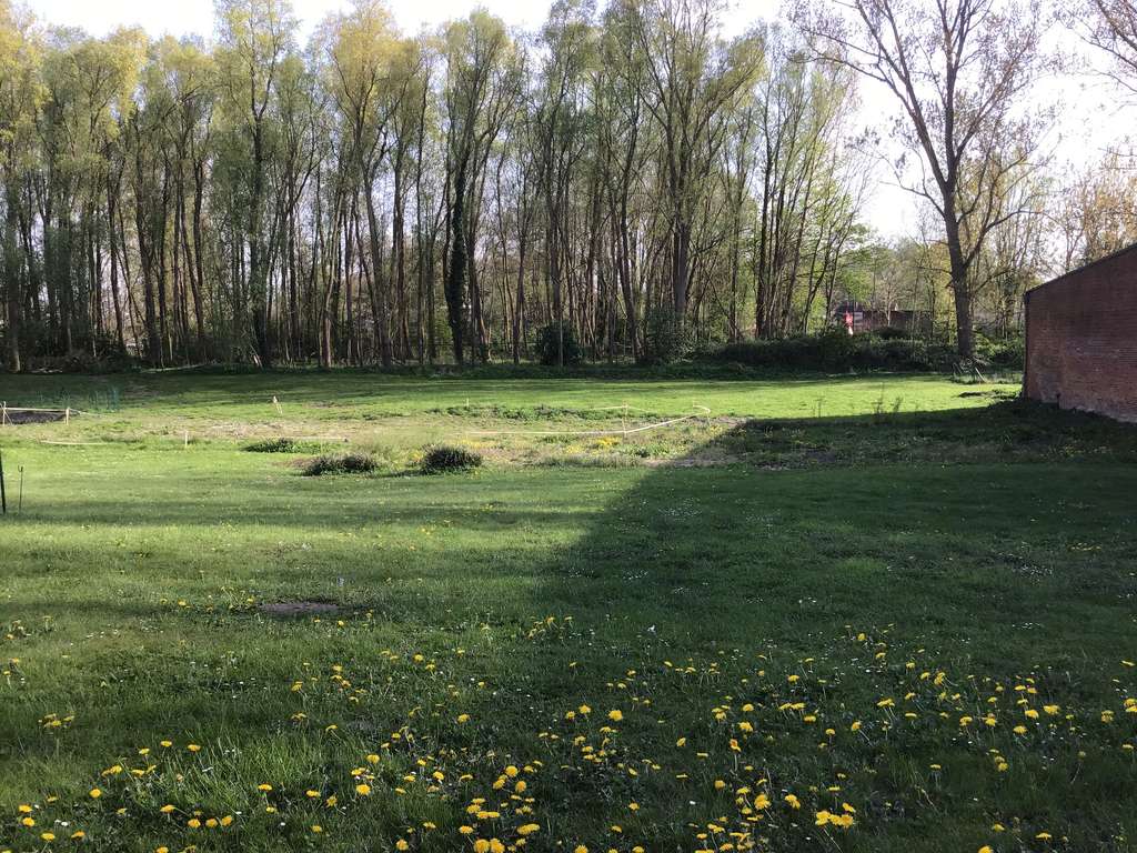 Immobilie in Glückstadt - Ehemaliges Palais mit Bauplatz am Yachthafen in Glückstadt - Bild 2