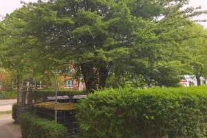 Gepflegte teilmöblierte 2-Zimmer-Hochparterre-Wohnung mit Einbauküche in Kiel-Südfriedhof, Toplage – Winterbeker Weg 38, 24114 Südfriedhof, Kiel – Vorschaubild 20