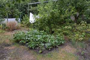 Ein schönes Zuhause für Familien mit Garten - provisionsfrei – Karlsruhe (Kreis) – Vorschaubild 10