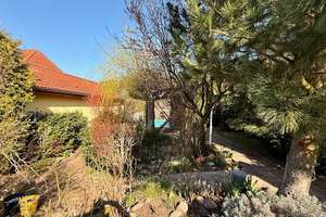 ** NATUR PUR ** Landhaus mit Pool am Waldrand – Die vollständige Adresse der Immobilie erhältst du vom Anbieter., 39264 Nedlitz – Vorschaubild 3