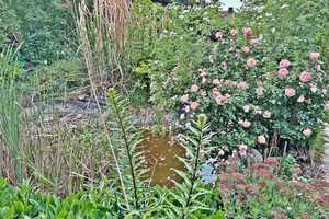 !!! Freistehendes EFH mit viel Wohnfläche u. Grundstück + Outdoorpool, sucht neuen Besitzer !!! – Saalekreis – Vorschaubild 59