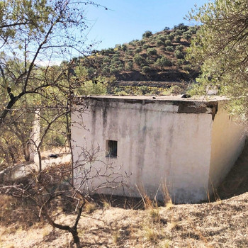 Immobilien zum Verkauf in Árchez