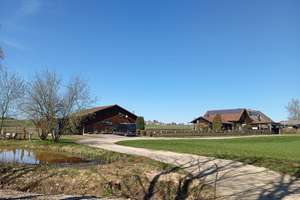 Maklerfrei: autark - renoviert - besonderes Haus mit PV Anlage, Brunnen, Wald, Weiher, sep Halle  – Die vollständige Adresse der Immobilie erhältst du vom Anbieter., 92271 Freihung – Vorschaubild 9