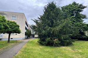 *PROVISIONSFREI *  Zum Selbstbezug ab 01.06.2026 ! Ruhig gelegene 3,5 – Zimmer- Wohnung mit Balkon ! – Am Wald 67B, 40597 Benrath, Düsseldorf – Vorschaubild 25