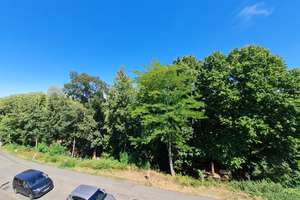 Toll geschnittene 3 Zimmer Dachgeschosswohnung am Neufferpark