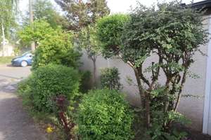 Gepflegter Reiheneckbungalow auf großem Grundstück in begehrter Lage von Nürnberg Langwasser – Die vollständige Adresse der Immobilie erhältst du vom Anbieter., 90471 Langwasser Nordwest, Nürnberg – Vorschaubild 30