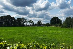 *** Perfekt für die Familie! Sehr ruhige Lage und familiengerechter Grundriss! *** – Die vollständige Adresse der Immobilie erhältst du vom Anbieter., 26160 Bad Zwischenahn – Vorschaubild 4