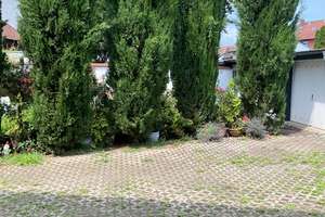 In Mannheim: Zuckersüße Erdgeschosswohnung in Minifachwerkhaus  – Adlerstraße 28, 68199 Neckarau, Mannheim – Vorschaubild 4