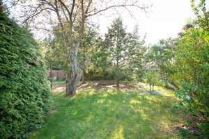 Kleines Haus im Grünen auf großem Gartengrundstück – Märkisch-Oderland (Kreis) – Vorschaubild 8