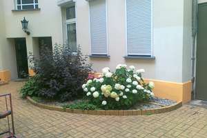 2- Zimmer - Whg. in 10249 Berlin-Friedrichshain barrierefreier Wohnungszugang im EG – Wilhelm-Stolze-Str. 31, 10249 Friedrichshain, Berlin – Vorschaubild 2