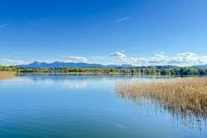 Historisches Gebäude mit Künstlerwerkstatt und herrlichen Alpenpanoramablick, Nähe Waginger See – Die vollständige Adresse der Immobilie erhältst du vom Anbieter., 83329 Waging am See – Vorschaubild 46