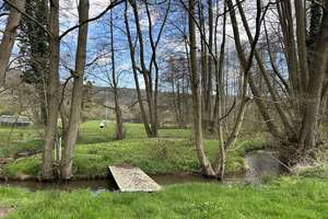 Ein Paradies: 2-FH mit Nebengebäude und herrlichem Grundstück am Bachlauf! – Die vollständige Adresse der Immobilie erhältst du vom Anbieter., 97906 Faulbach – Vorschaubild 7