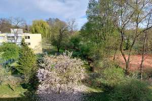 Traumhafte, frisch renovierte 2-Raum-Wohnung mit sonnigem Balkon und Einbauküche – echtes WG-Juwel – Die vollständige Adresse der Immobilie erhältst du vom Anbieter., 51103 Höhenberg, Köln – Vorschaubild 3