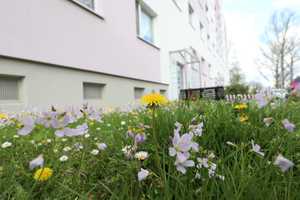 2 Raumwohnung mit Süd-Balkon – Irkutsker Straße 279, 9119 Chemnitz – Vorschaubild 4