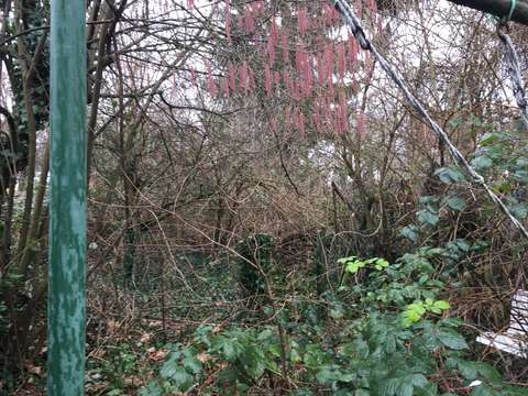 Grundstuck Mit Abrissgebaude Efh In Bergen Enkheim