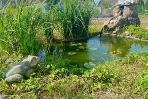 RESERVIERT!!!! Fredersdorf- Großes Grundstück mit gemütliches Einfamilienhaus mit Potenzial – Die vollständige Adresse der Immobilie erhältst du vom Anbieter., 15370 Fredersdorf-Vogelsdorf – Vorschaubild 25
