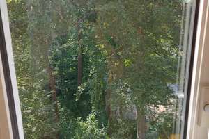 Lebendig wohnen in Karlsruhe: Helle 3-Zimmer-Wohnung in der Waldstadt – Kolberger Straße 16a, 76139 Waldstadt, Karlsruhe – Vorschaubild 4