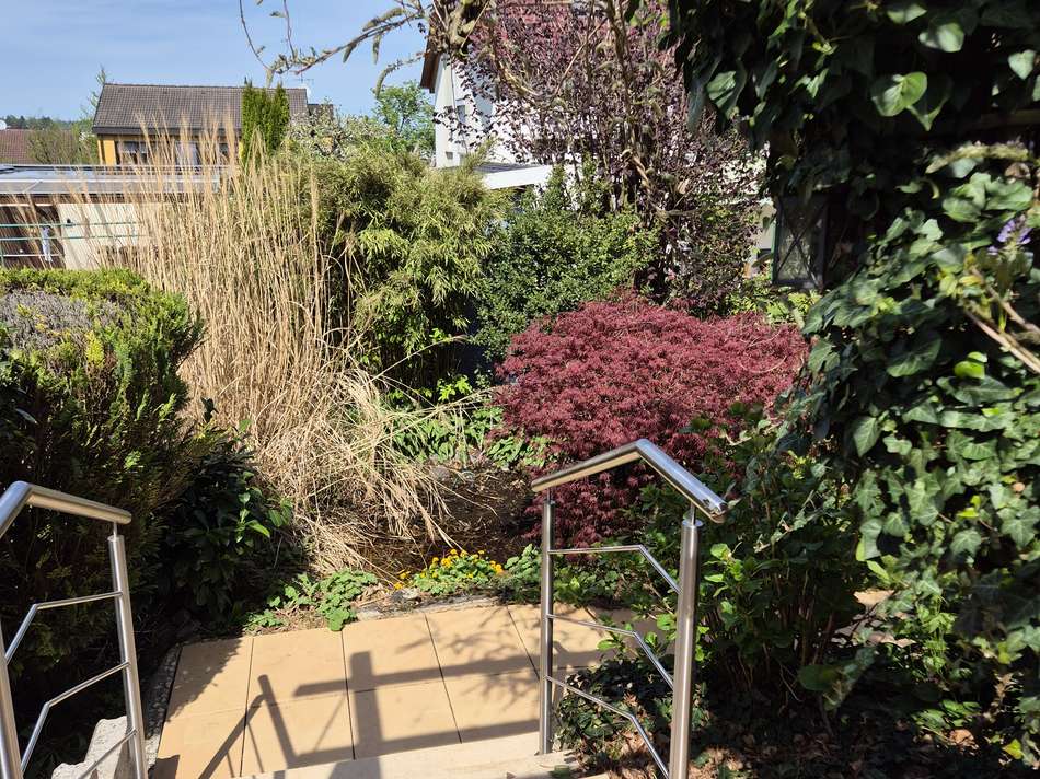 Treppe zum Garten hinten