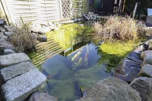Sonnenbaden: Top gepflegtes EFH mit Pool und Garten in Panketal – Buchenallee 22, 16341 Barnim (Kreis) – Vorschaubild 16