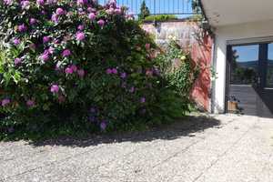 ***Traumhafte Aussicht! Wohnhaus mit großem Garten in ruhiger Wohnlage, direkt in Erbach*** – Odenwaldkreis – Vorschaubild 24
